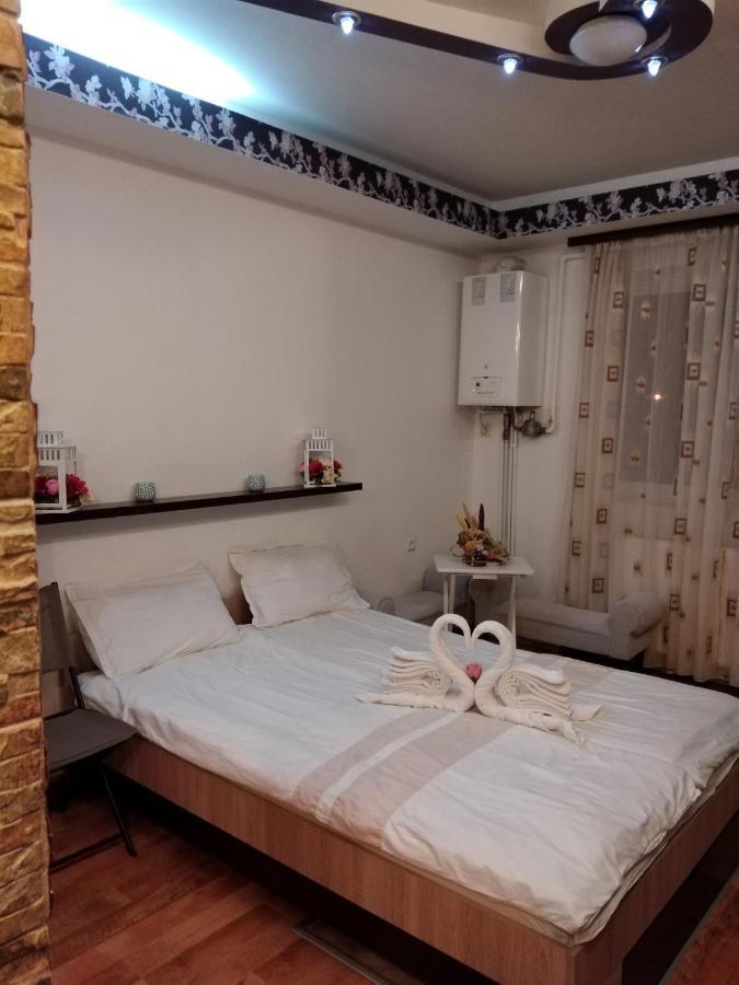 Alexandra 'S Studio Apartment Brasov Bagian luar foto