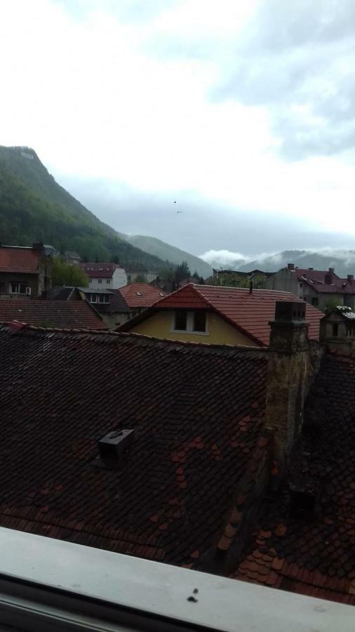 Alexandra 'S Studio Apartment Brasov Bagian luar foto