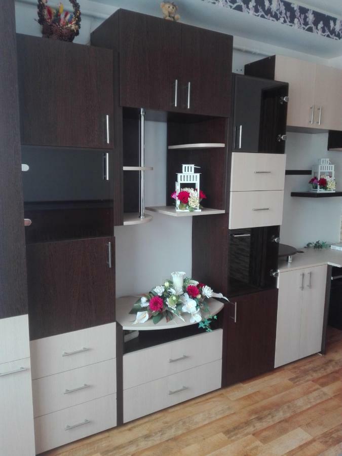 Alexandra 'S Studio Apartment Brasov Bagian luar foto
