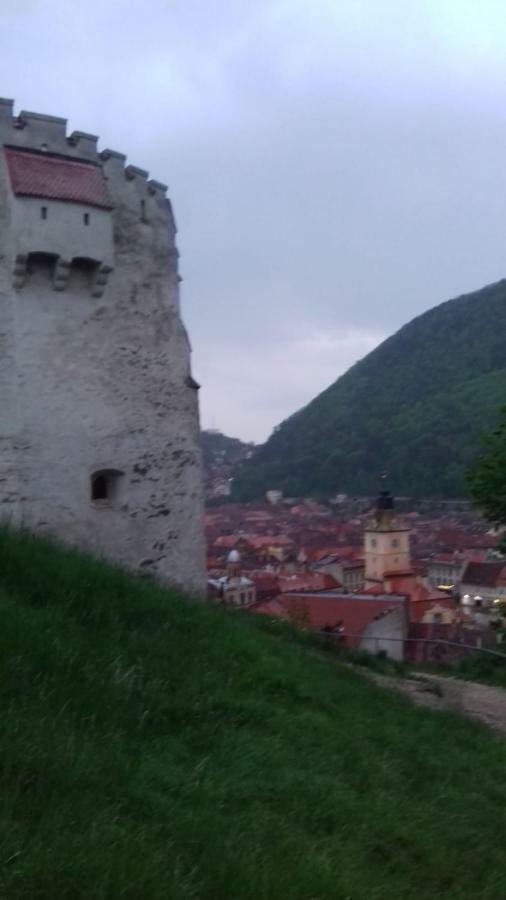 Alexandra 'S Studio Apartment Brasov Bagian luar foto