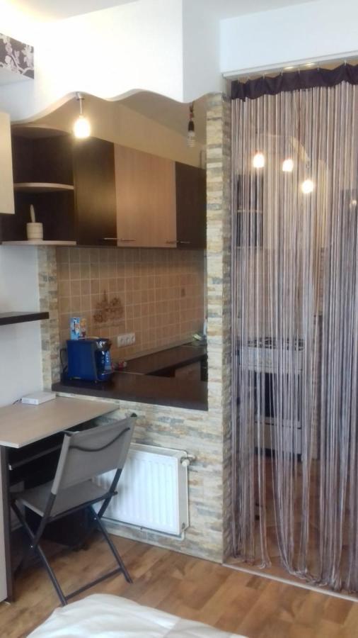 Alexandra 'S Studio Apartment Brasov Bagian luar foto
