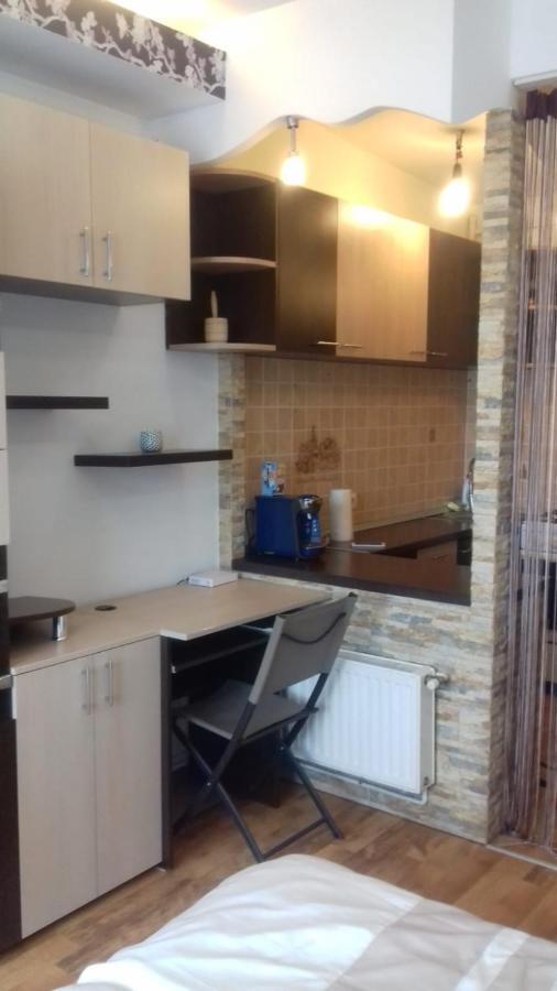 Alexandra 'S Studio Apartment Brasov Bagian luar foto