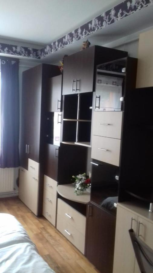 Alexandra 'S Studio Apartment Brasov Bagian luar foto